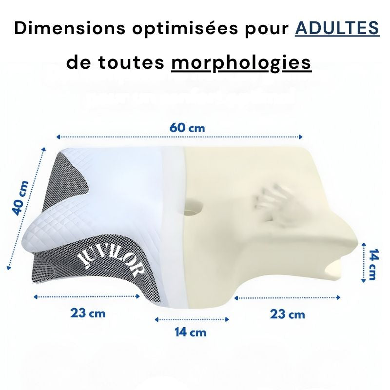 OrthoDream™ 🌙 - Oreiller orthopédique